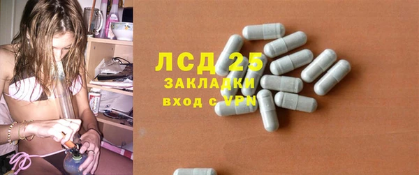 spice Няндома