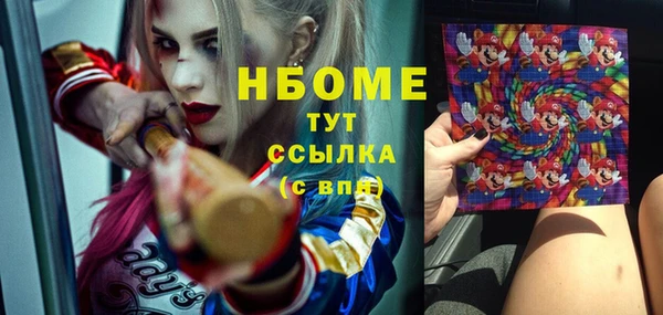 spice Няндома