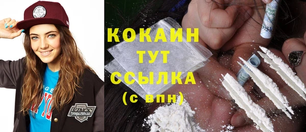 spice Няндома