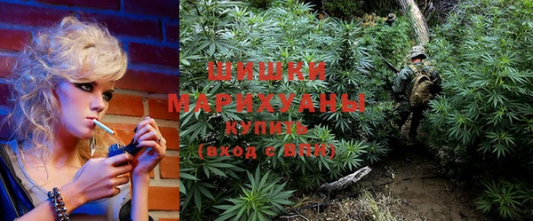 мдпв Нягань